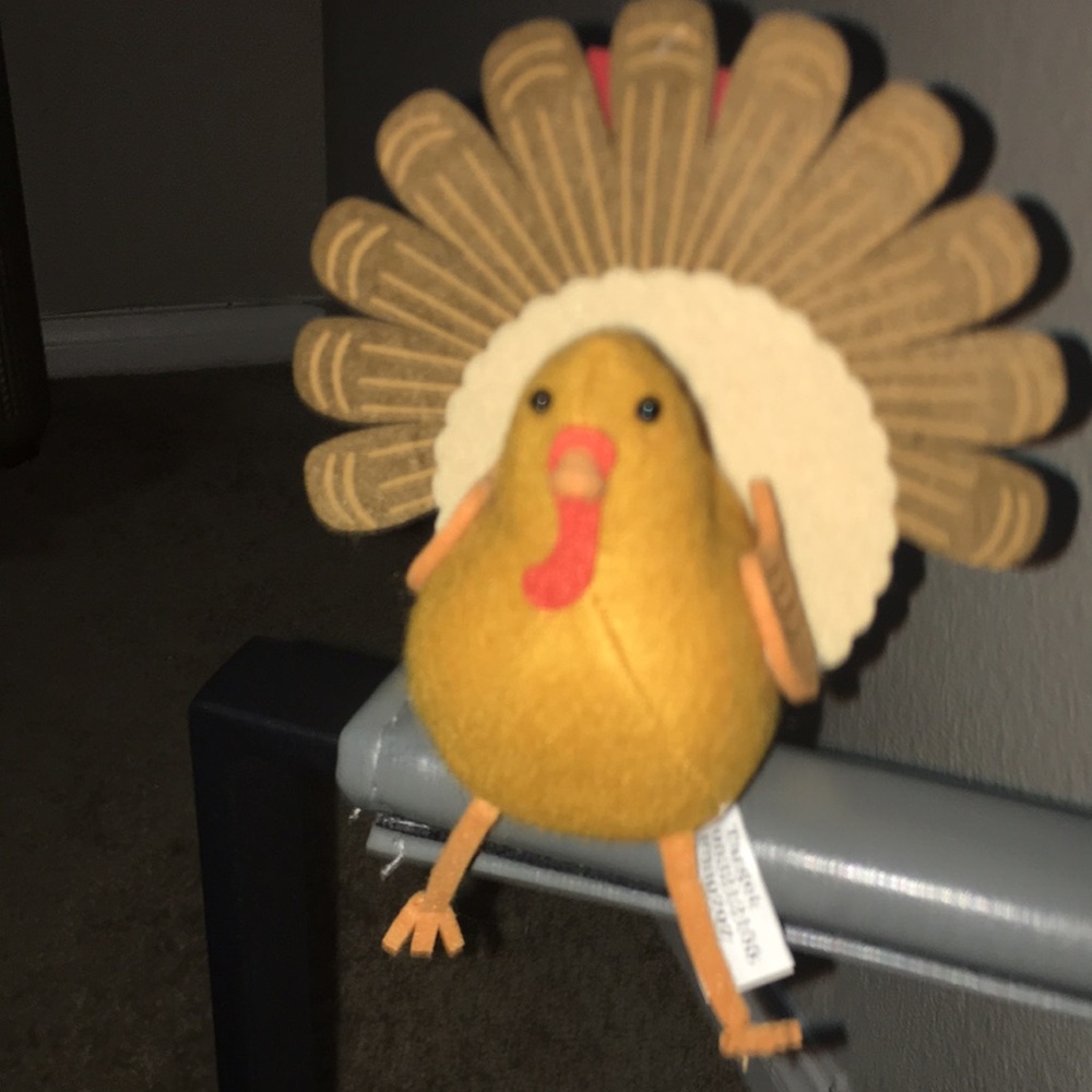 Spritz Turkey Decoration